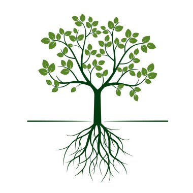 Yeşil ağaç kökleri ve yapraklar. Vektör çizim.