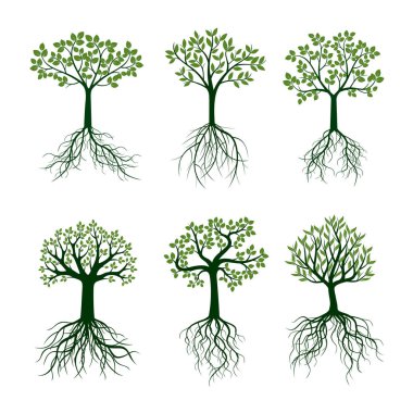Yeşil ağaçlar, yapraklar ve kökleri. Vektör çizim.