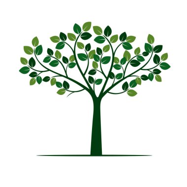 Yeşil ağaç yapraklar. Vektör çizim.