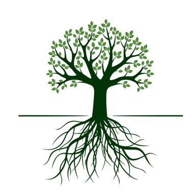 Yeşil ağaç yapraklar. Vektör çizim.