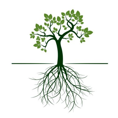 Yeşil ağaç yapraklar. Vektör çizim.