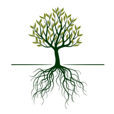 Yeşil ağaç yapraklar. Vektör çizim.