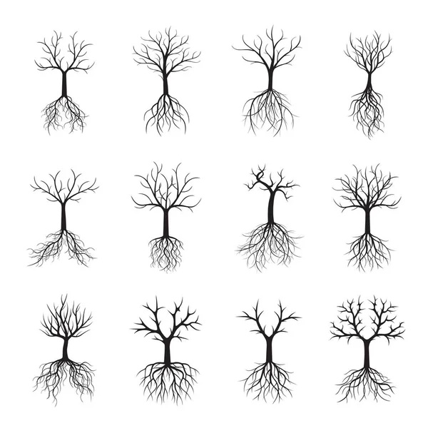 Set black Trees with Roots. Vector Illustration. — Stock Vector