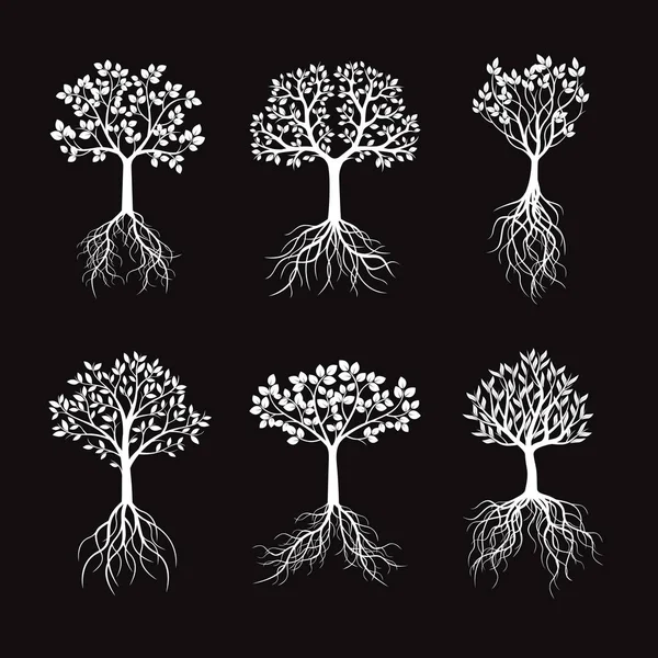 葉と根の白い木を設定します。ベクトル図. — ストックベクタ