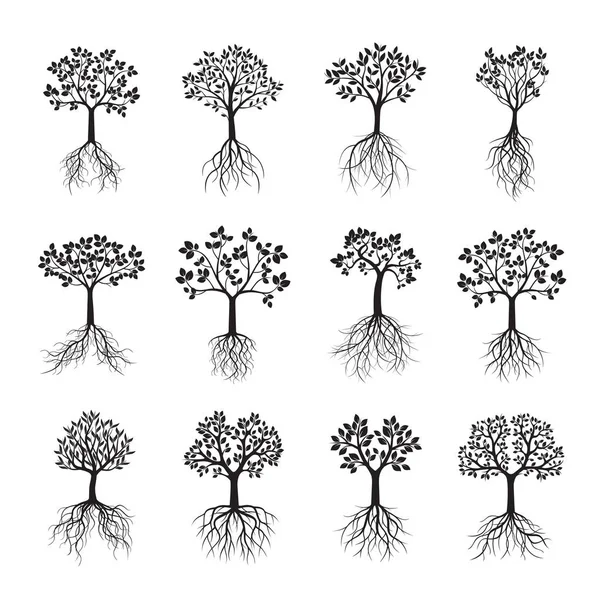 Establecer árboles negros con hojas y raíces. Ilustración vectorial . — Archivo Imágenes Vectoriales
