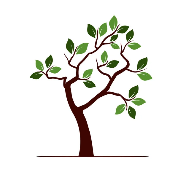 Árbol de color con hojas. Ilustración vectorial . — Vector de stock