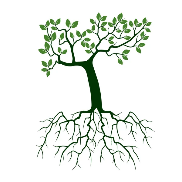 Зеленое дерево с корнями. Векторная миграция . — стоковый вектор