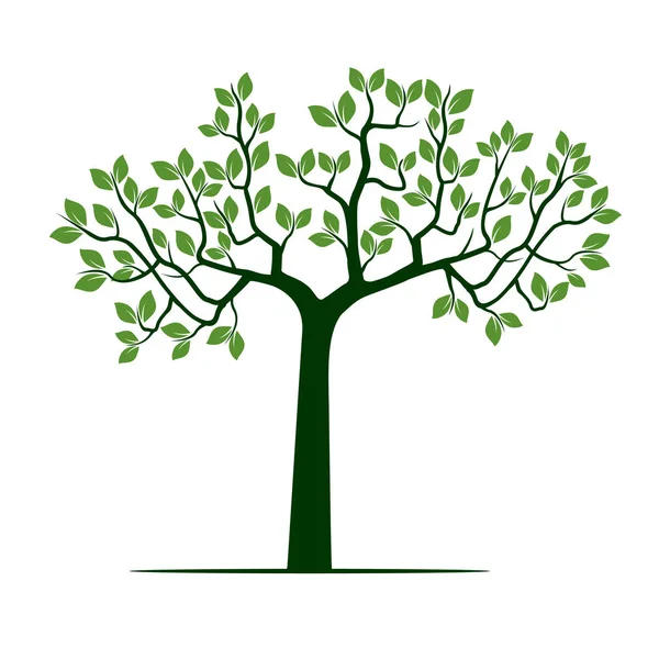 Grüner Baum. Vektorillustration. — Stockvektor