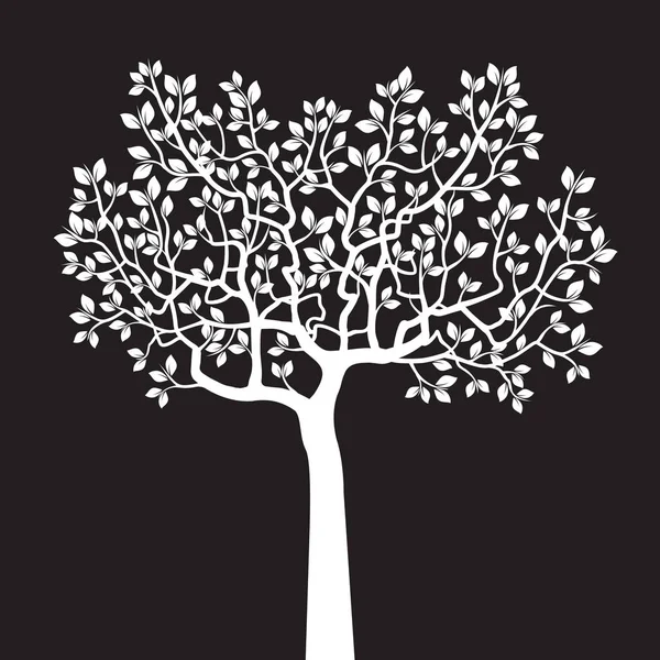 Drzewo Genealogiczne Rodziny Na Czarne Tło Wektor Grafika Wektorowa 169 Kaetana 20920667 Drzewo Genealogiczne Szablon Sztuka Wektor Ilustracja Grafika Wektorowa 169 Yayasya 104419416