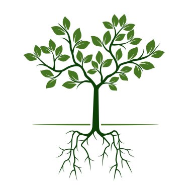Yeşil ağaç kökleri ile. Vektör çizim.