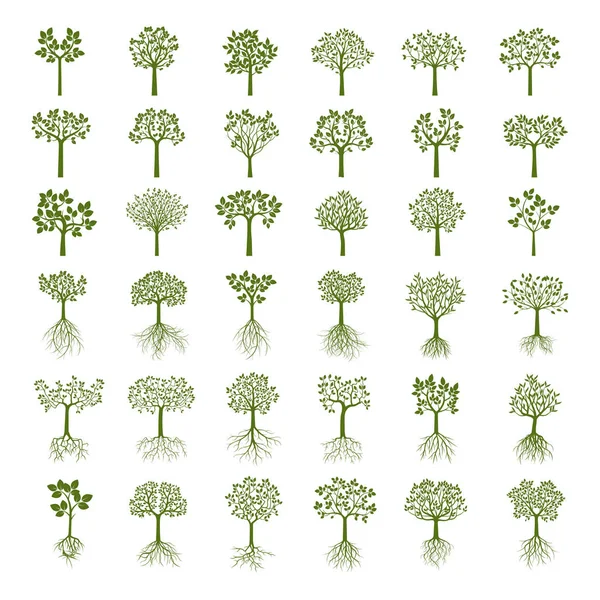 Colección de árboles verdes. Ilustración vectorial . — Vector de stock