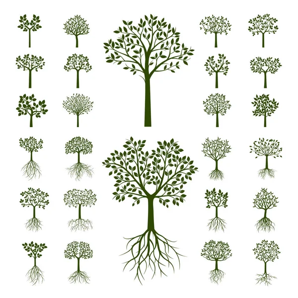 Collection d'arbres verts. Illustration vectorielle . — Image vectorielle