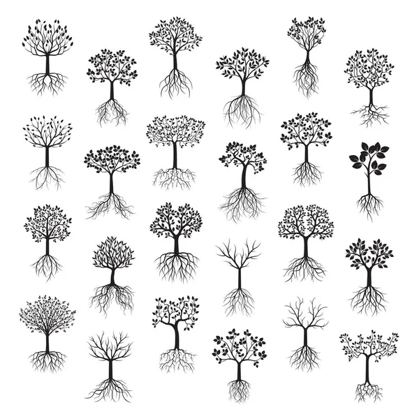 Defina árvores negras com folhas e raízes. Ilustração vetorial . — Vetor de Stock
