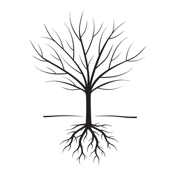 Black Naked Trees and Roots. Ilustração vetorial . — Vetor de Stock