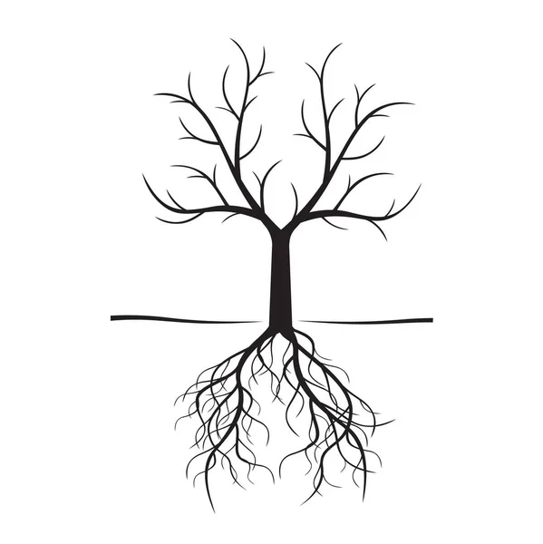 Černá holých stromů a kořeny. Vektorové ilustrace. — Stockový vektor