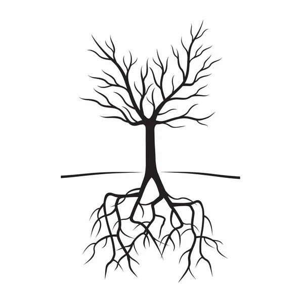 Μαύρη γυμνή δέντρα και ρίζες. Εικονογράφηση διάνυσμα. — Διανυσματικό Αρχείο