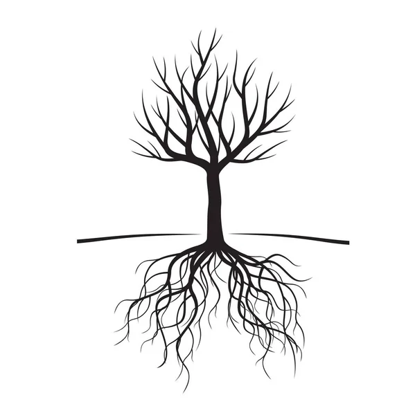 Black Naked Trees and Roots. Vector Illustration. — Stock Vector