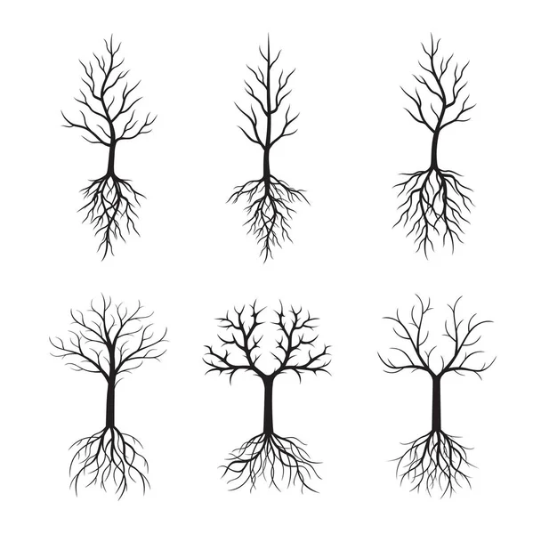 Schwarze nackte Bäume und Wurzeln. Vektorillustration. — Stockvektor