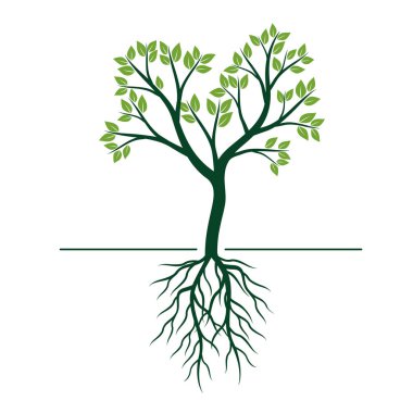 Doğal Yeşil ağaç yapraklar ve kökleri. Vektör çizim.