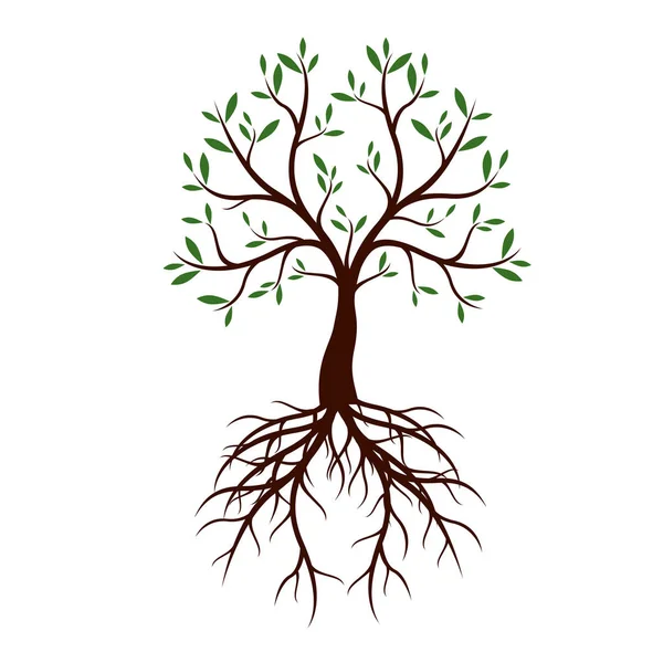 Árbol natural con hojas y raíces. Ilustración vectorial . — Vector de stock