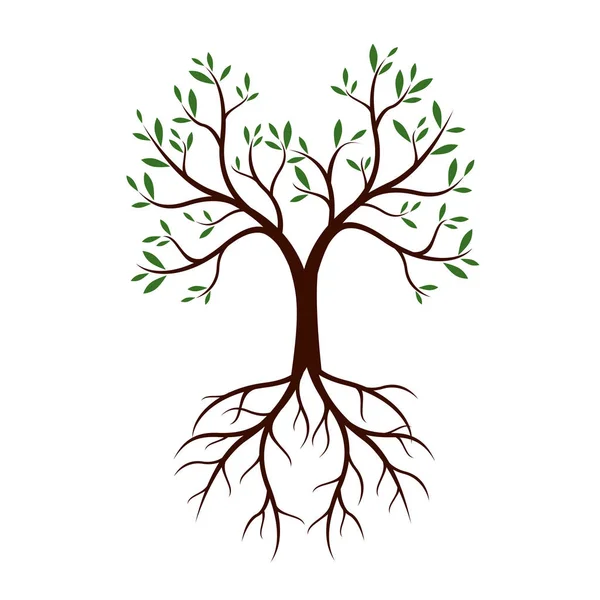 Árbol natural con hojas y raíces. Ilustración vectorial . — Vector de stock