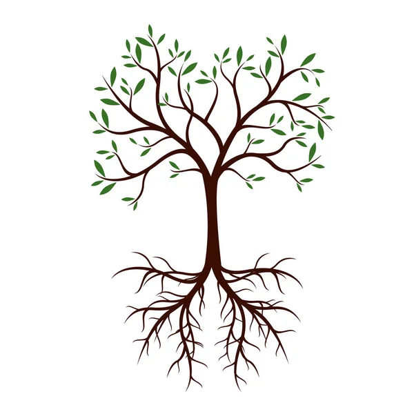 Φυσικό δέντρο με φύλλα και τις ρίζες. Εικονογράφηση διάνυσμα. — Διανυσματικό Αρχείο