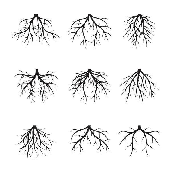 검은 뿌리의 컬렉션입니다. 벡터 일러스트 레이 션. — 스톡 벡터