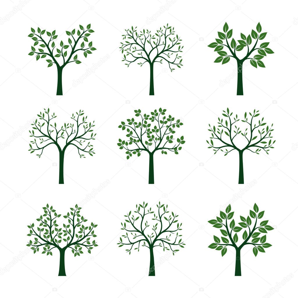 Set of Trees with Leaves. Vector Illustration.