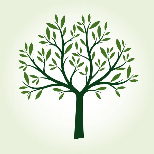 Arbre vert avec des feuilles. illustration vectorielle. — Image vectorielle