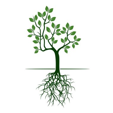 Yeşil ağaç yaprakları ve kökleri ile. Vektör çizim.