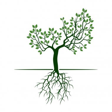 Yeşil ağaç yaprakları ve kökleri ile. Vektör çizim.