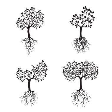 Siyah ağaçlar yaprak ve kökler ile ayarlayın. Vektör çizim.