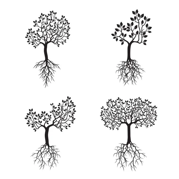 Siyah ağaçlar yaprak ve kökler ile ayarlayın. Vektör çizim.