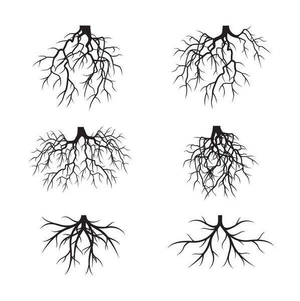 Set di radici nere. Illustrazione vettoriale . — Vettoriale Stock