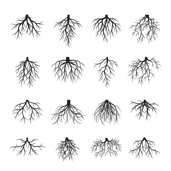 Ensemble de racines noires. Illustration vectorielle . — Image vectorielle