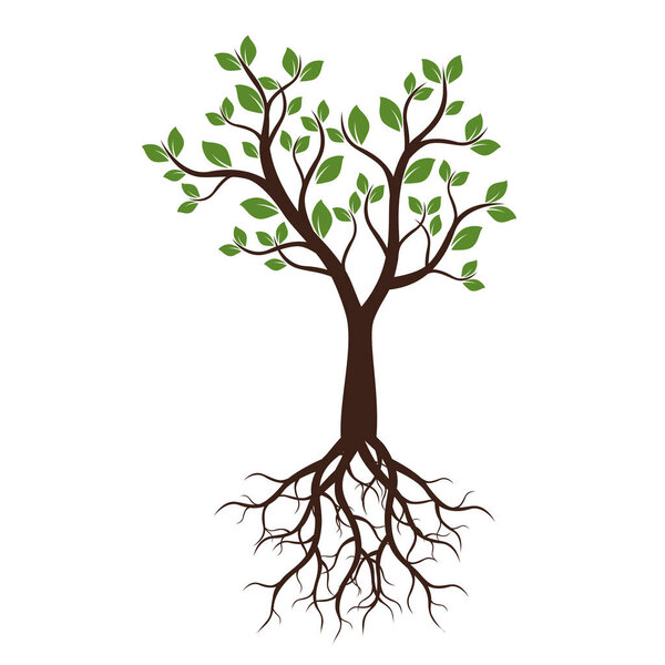 Летнее дерево. Векторная миграция
.