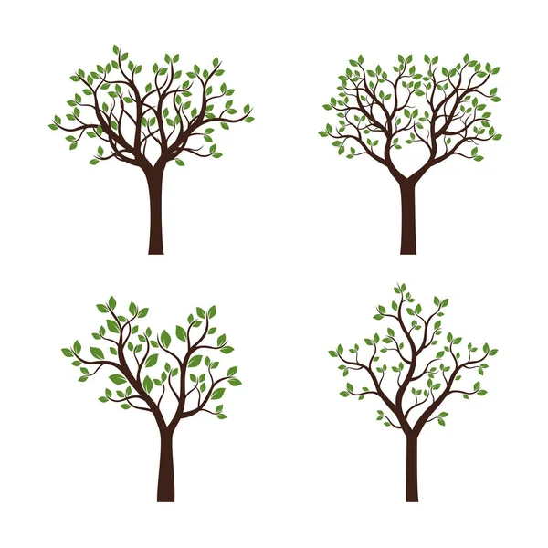 Set Arbres avec feuilles vertes. Illustration vectorielle . — Image vectorielle