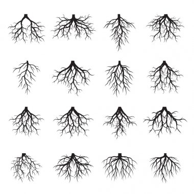 Siyah kökler kümesi. Vektör çizim.