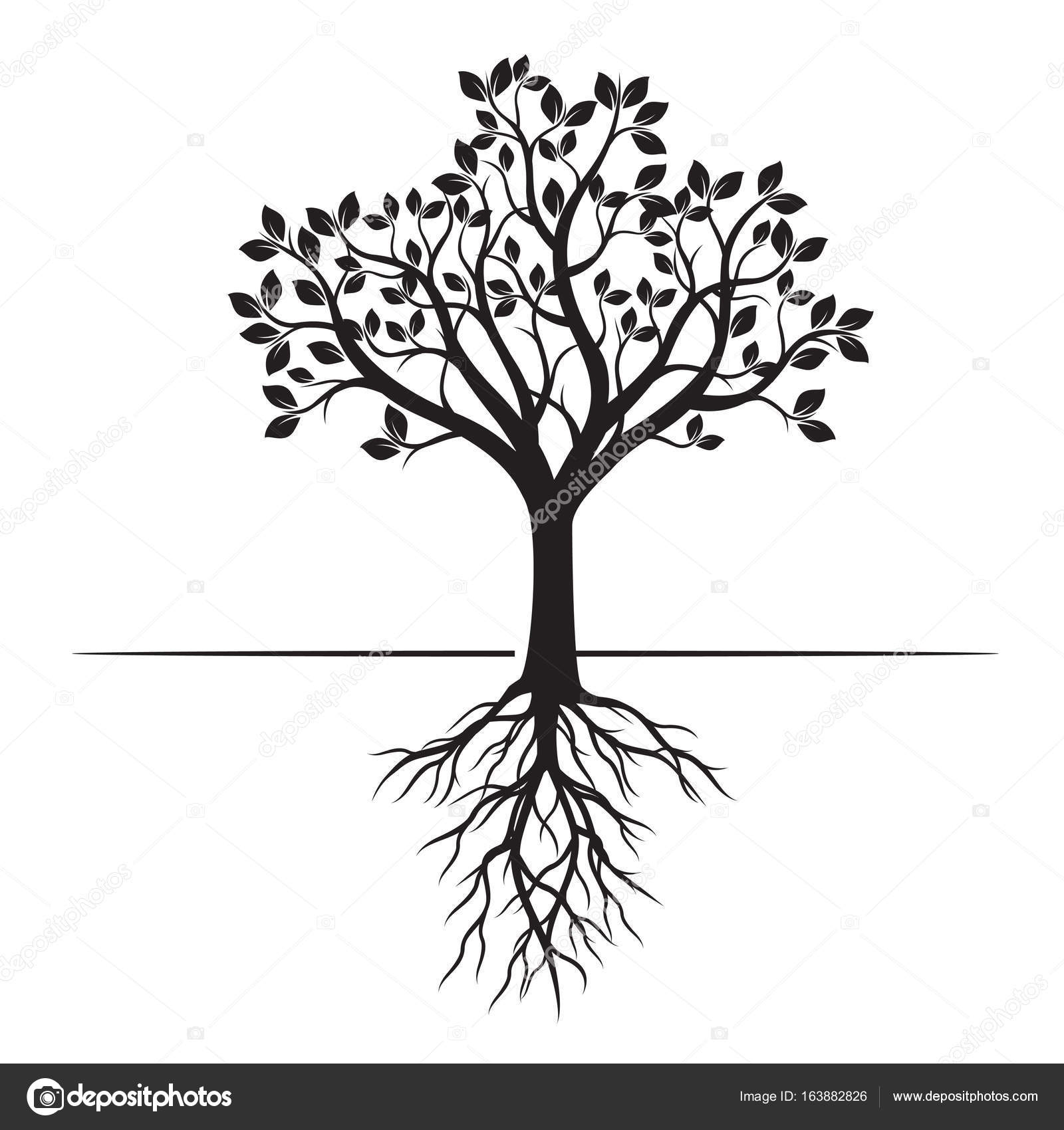 Albero nero con le radici Illustrazione di vettore — Vettoriale Stock
