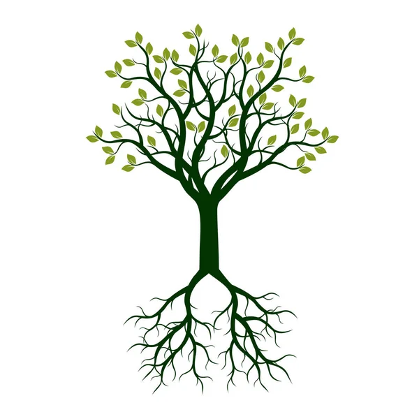 Árbol de color con raíces. Ilustración vectorial . — Vector de stock