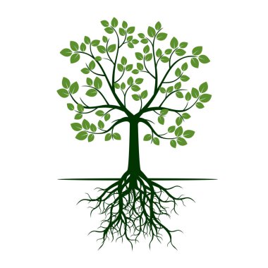 Renk Ağaç kökleri ile. Vektör çizim.