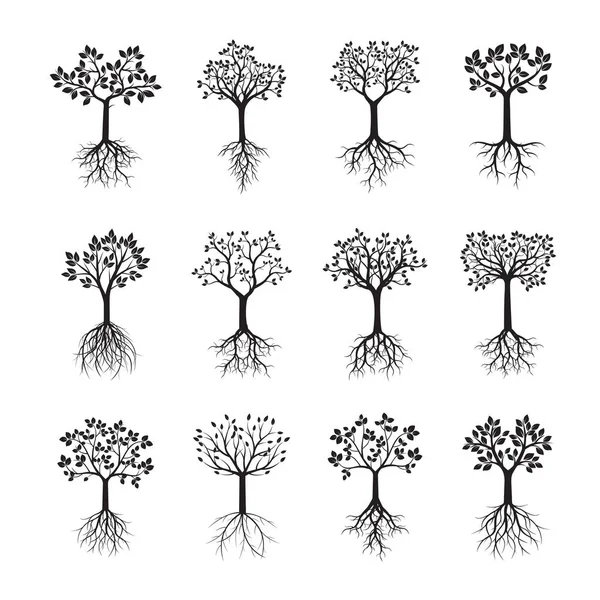 Ensemble d'arbres noirs avec des racines. Illustration vectorielle . — Image vectorielle