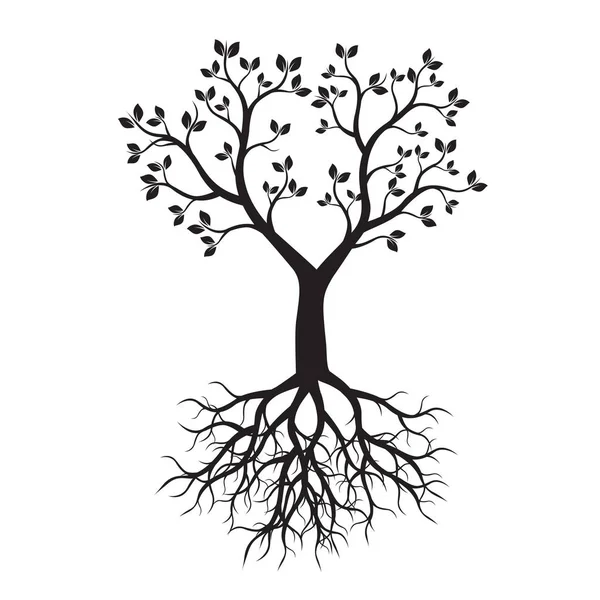 Siyah ağaç kökleri ile. Vektör çizim.