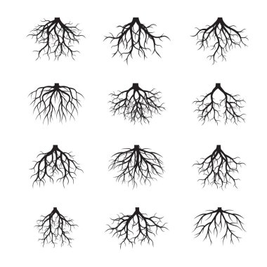 Siyah kökler kümesi. Vektör çizim.