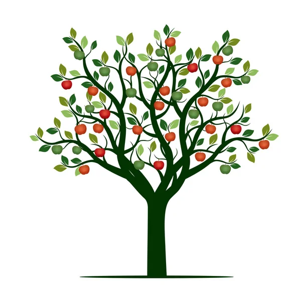Kleur boom met bladeren en appels. Vectorillustratie. — Stockvector