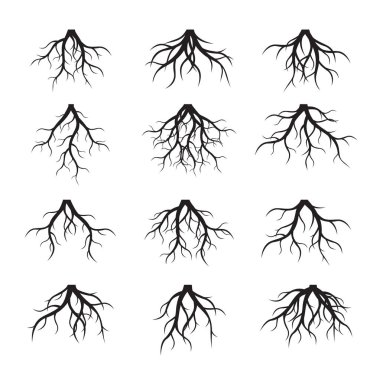 Siyah kökler kümesi. Vektör çizim.