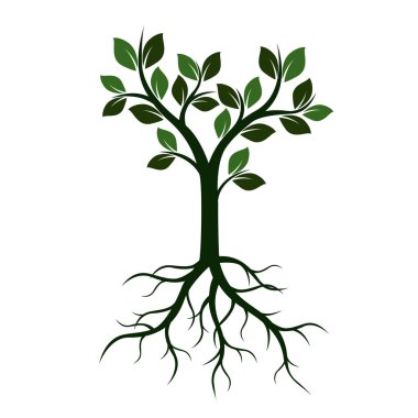 Yeşil ağaç yaprakları ve kökleri ile. Vektör çizim.