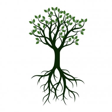 Yeşil ağaç yaprakları ve kökleri ile. Vektör çizim.
