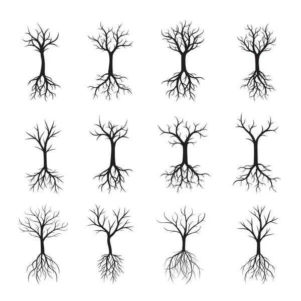 Siyah ağaçların yaprakları olmadan kümesi. Vektör çizim.