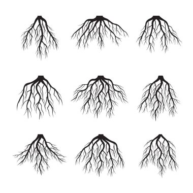 Siyah kökler kümesi. Vektör çizim.